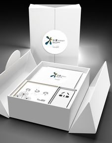 智繪未來，悅享生活——智能家居產品LOGO與包裝設計方案
