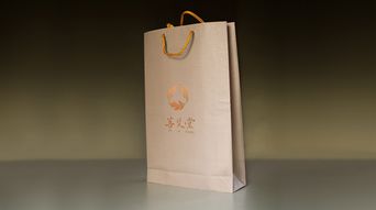 圖文標(biāo)志菩艾堂logo設(shè)計(jì) 傳統(tǒng)智慧與現(xiàn)代美學(xué)的融合